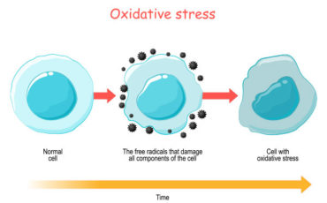 All you need to know about Oxidative stress and Inflammation
