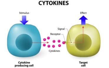 Range of Cytokines and Chemokines and its Clinical Significance