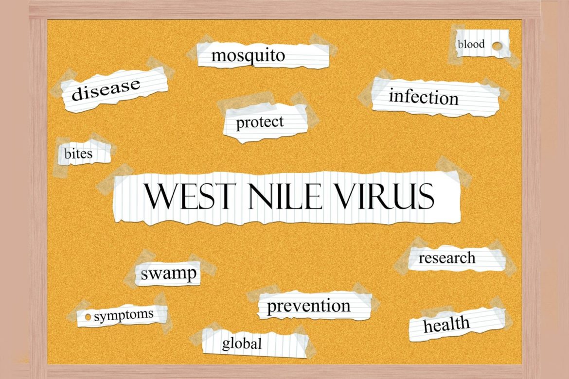 West Nile Virus Symptoms Diagnosis and Treatments