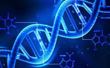 New bacterial strain typing methods in the era of genomics