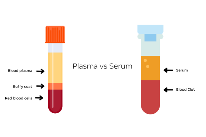 Plasma or Serum: Their Differences and Uses in medical research