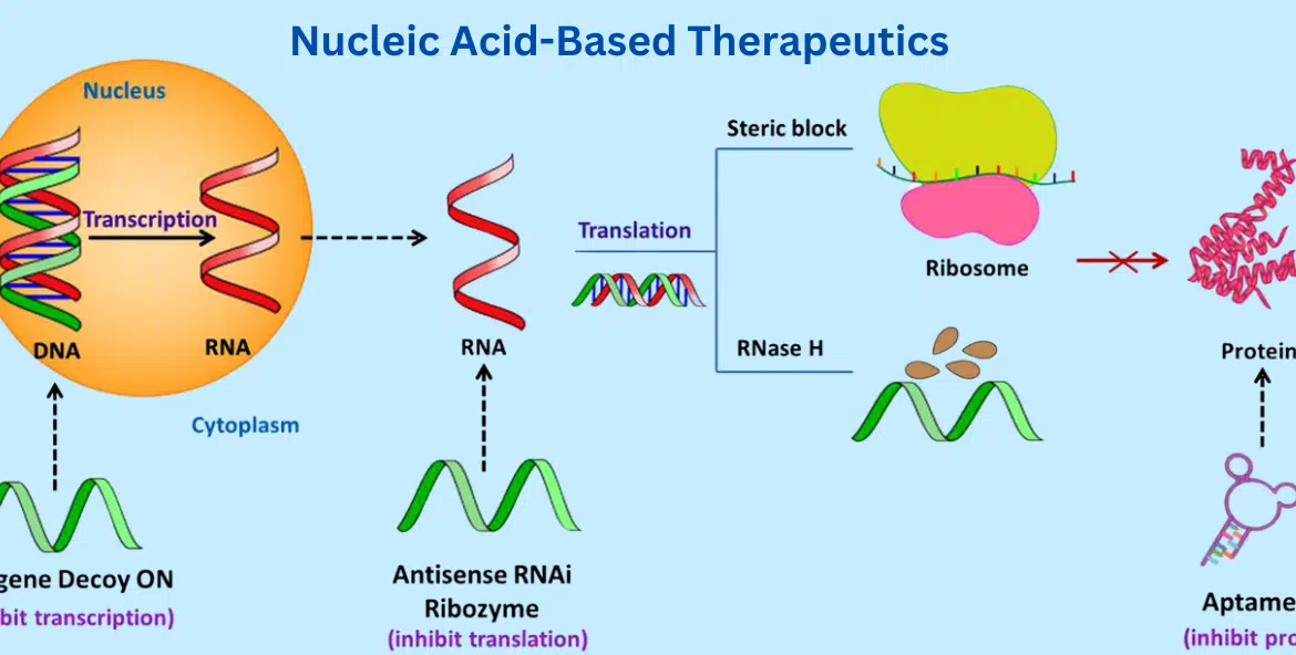Nucleic Acid-Based Therapeutics: A Promising Frontier in Healthcare
