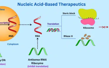 Nucleic Acid-Based Therapeutics: A Promising Frontier in Healthcare